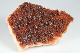 Ruby Red Vanadinite Crystals on Barite - Morocco #181692-1